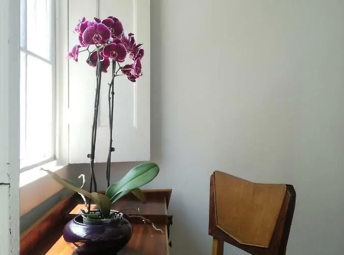 Ubytování v soukromí Casa De Guadalupe Braga