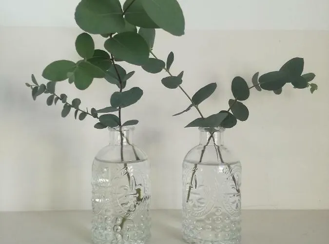 Casa De Guadalupe Ubytování v soukromí